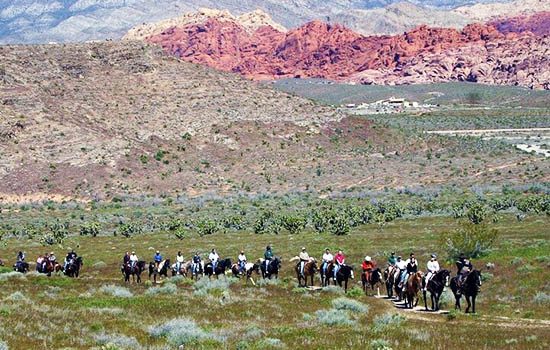 레드락 말타기 체험