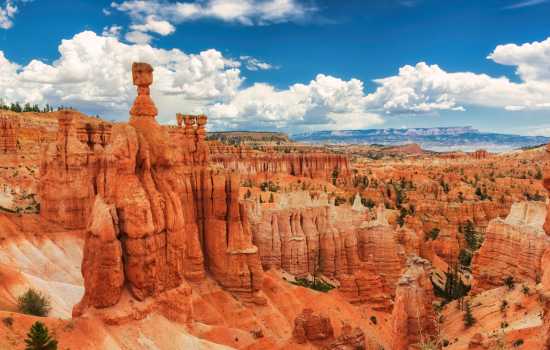 브라이스캐년 & 자이언캐년 투어