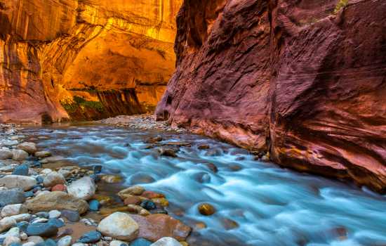 자이언캐년 투어